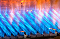 Lower Bracky gas fired boilers